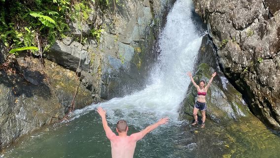 Lawatan Berpandu Hutan Hujan Yunque Separuh Hari & ayunan tali