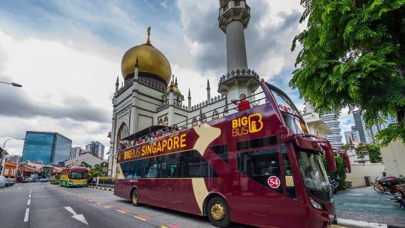Singapore Hop-on bus tour(Open Top)