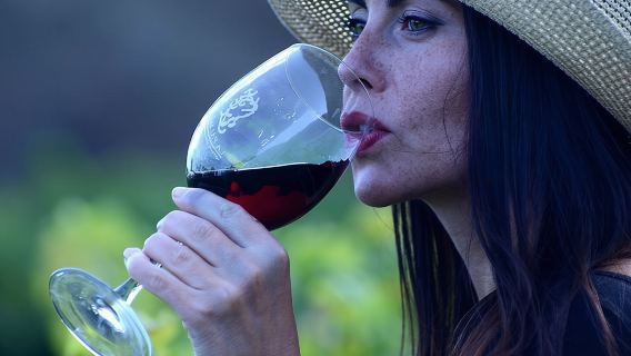 Visit Bodegas Teneguía winery in La Palma with wine Tasting