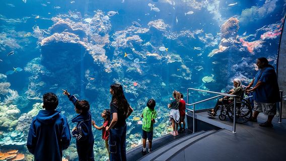 California Academy of Sciences General Admission Ticket