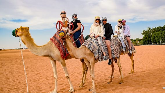 Safari nel deserto di Dubai con foto di falchi