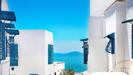 Tour privato: Medina, Cartagine, Sidi Bou Said, Museo del Bardo + pranzo