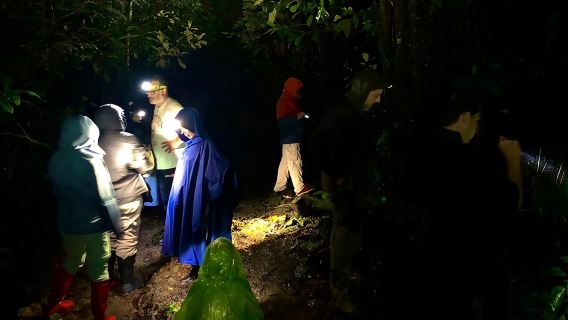 Paseo nocturno por la selva tropical de Sarapiquí: Vida salvaje y aventura.