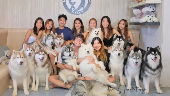 Centro de Experiencia de Huskies y Shiba Inu en Malaca