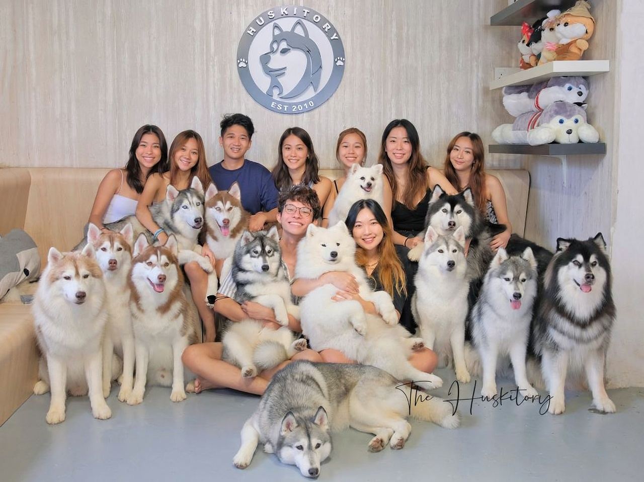 Melaka Husky and Shiba Inu Experience Center