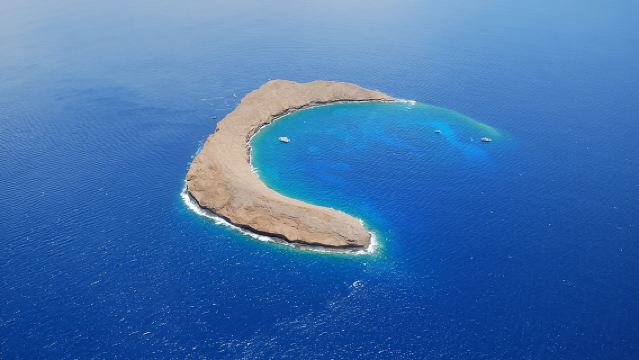 Maui: Molokini & Turtle Town Schnorchel- & Wasserrutschen-Abenteuer