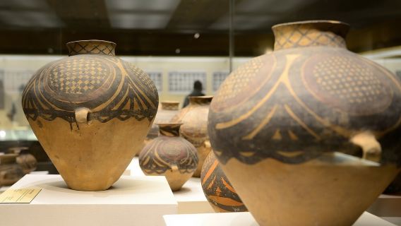 Muzium Wilayah Gansu | Penerangan Berpandu 2 Jam [Panduan Secara Langsung] Lawatan Peribadi VIP Penerangan Mendalam Sesi Pilihan