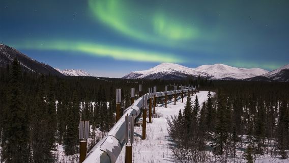 однодневный тур в Фэрбанкс-Колдфут, Полярный круг и реку Юкон на Аляске, США