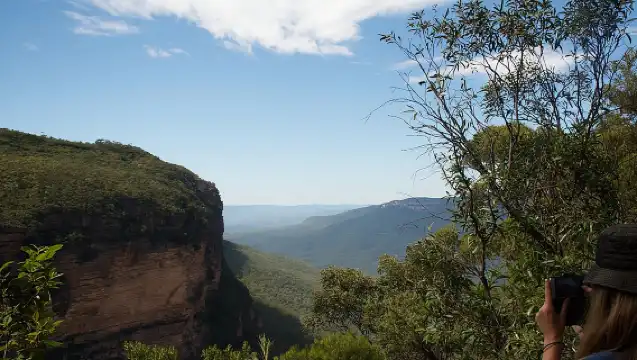雪梨出發的藍山小團深度遊