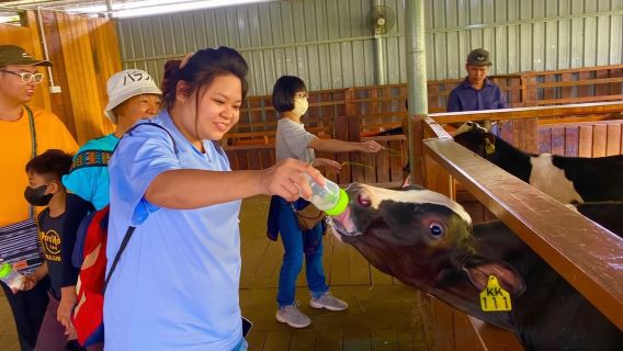 Sabah Kinabalu Park & Desa Dairy Farm Day Tour (Lunch at Poring)