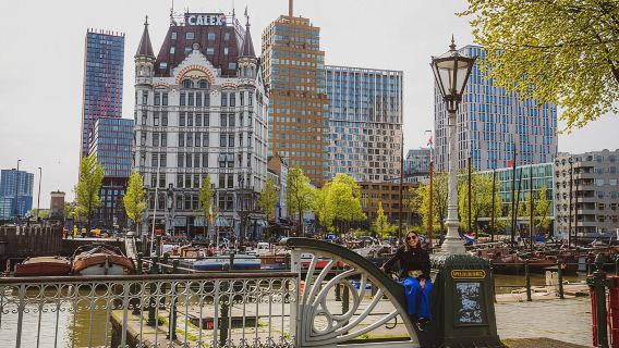 Rotterdam 3h walk with local: Hilights, Gems, Architecture & WWII