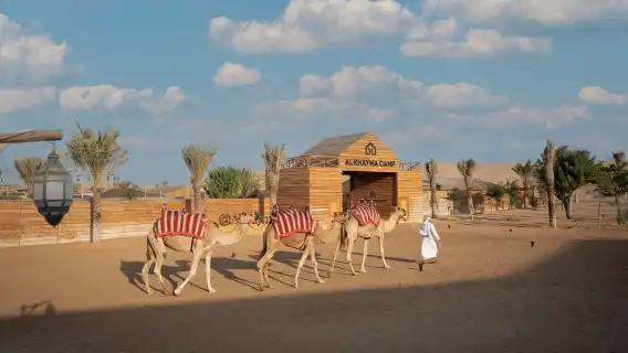 杜拜:四輪越野車探險之旅、騎駱駝體驗及現場燒烤晚餐