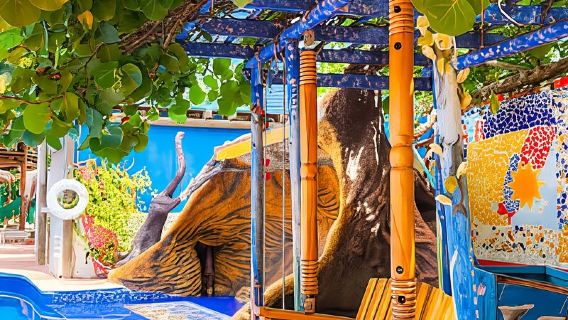 Cartagena: Pulau PRIVAT di Kepulauan ROSARIO, Kolam Renang+Makan Siang