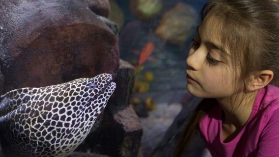 Loch Lomond: Sea Life Entrance Ticket