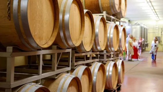 Lazise: Weintour mit Garda-Weinen und Speisenverkostung