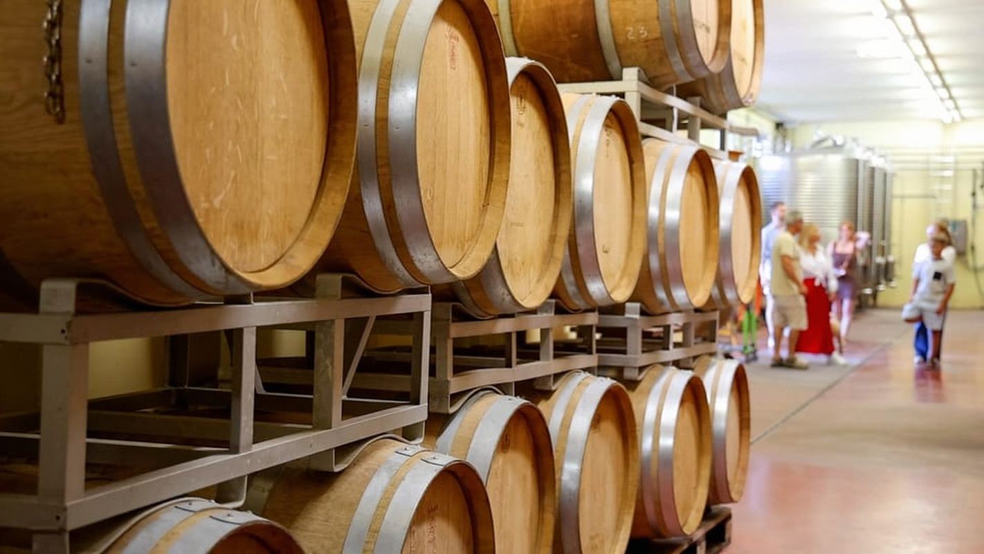 Lazise: Winery Tour with Garda Wines and Food Tasting