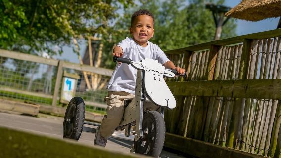 Groot-Ammers: Adventure Farm Molenwaard Entry Ticket