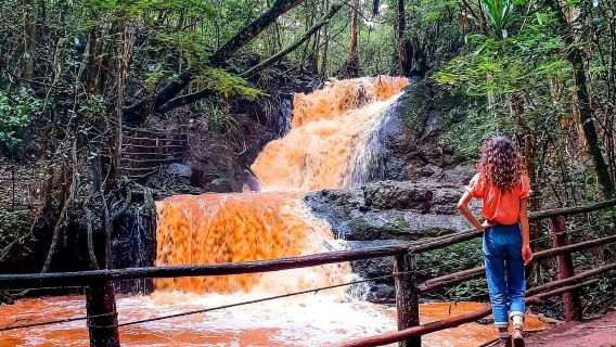 Nairobi: tour guidato a piedi nella foresta di Karura da Nairobi