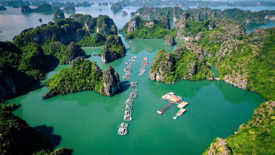 Excursion privée de 2 heures en canoë : découvrez le meilleur de la baie d'Ha Long