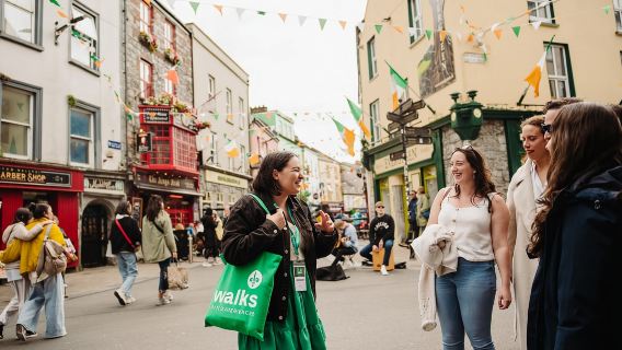 Из Дублина: тур в небольшой группе на утёсы Мохер и Голуэй