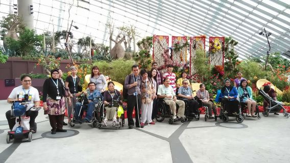Singapura: Tur Berpemandu Aksesibel Gardens by the Bay