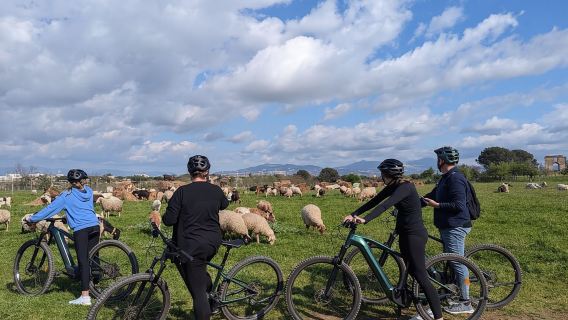 Rome: Appian Way, Aqueducts, & Catacombs E-Bike Guided Tour