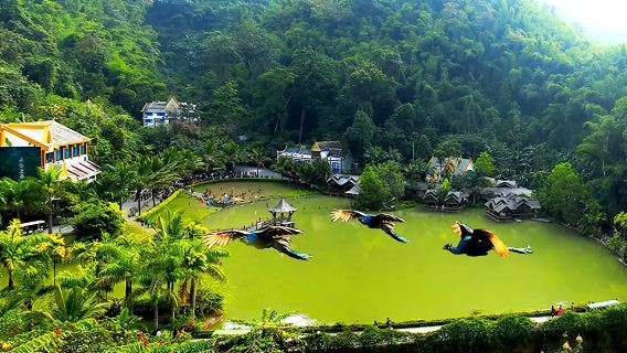 原始森林公園+曼掌村一日遊【6人內團/孔雀放飛/非遺文化】