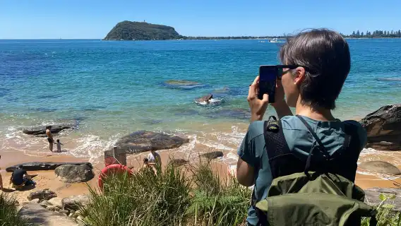 Sydney: Ku-ring-gai National Park Hike with swim and picnic