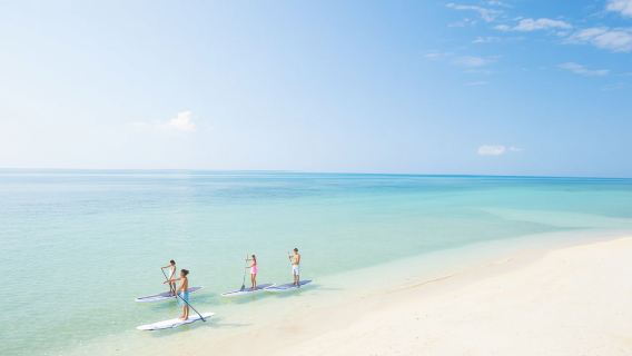 Okinawa T&T (T and T)