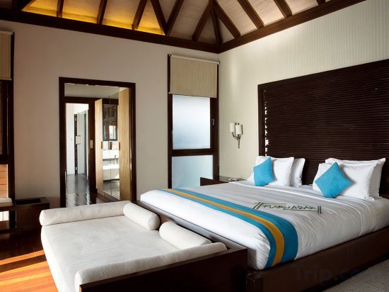 Coco Bodu Hithi - Stay 4+ nights enjoy 30% off Speedboat transfers for stays until 31st Aug'26 - Tap to explore photos