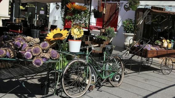 Market & Villages in Luberon from Marseille