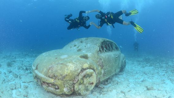 Experience Scuba Diving Under Water Museum and Reef for beginners