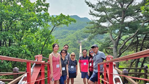 Tur DMZ Kelompok Kecil dengan Aula Pengalaman Korea Utara & Jembatan Gantung