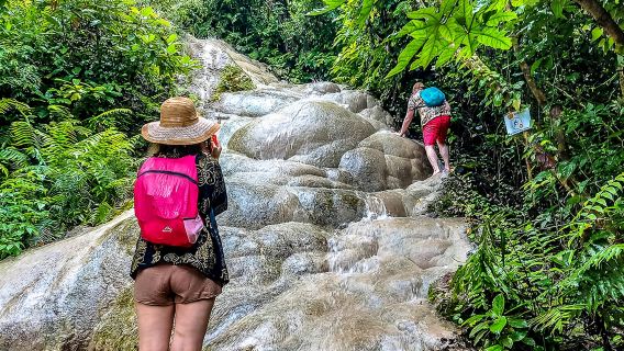 Excursión de medio día a las cascadas pegajosas Bua Tong en Chiang Mai - Escalada en las cascadas virales, opción ideal para familias