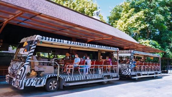 Chiang Mai Doi Suthep + Night Safari 1-day tour