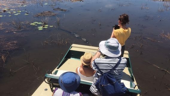 ทัวร์เรือแอร์โบ๊ทส่วนตัว 1 ชั่วโมงที่ไมอามีเอเวอร์เกลดส์