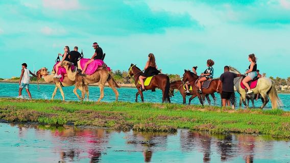 Explore Djerba by camel and horse 