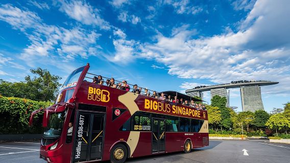 Big Bus panoramic night tour of Singapore