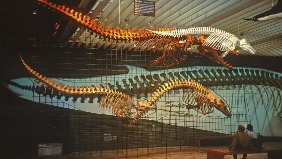 Frankfurt private charter day tour: Young Museum, Holbeinsteg, and Senckenberg Nature Museum