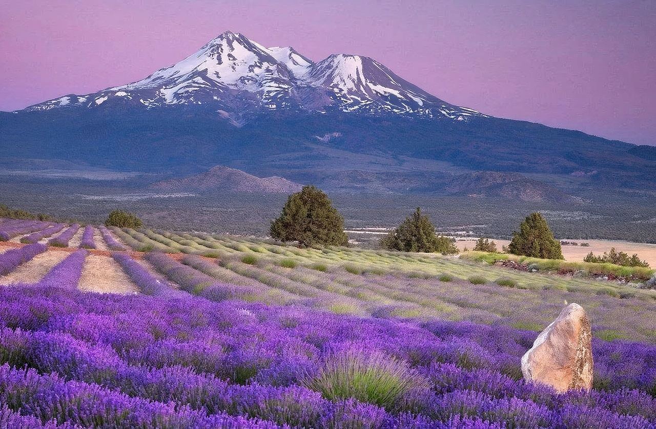 法國尼斯+上普羅旺斯阿爾卑斯+聖十字湖一日遊