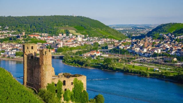 1-day tour to Rhine Gorge wine country with cruise and round-trip from Frankfurt, Chinese-speaking driver included