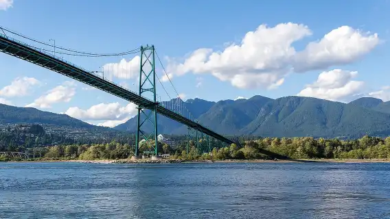 Vancouver Half-Day Whale Watching Adventure with Free Photos