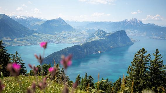 Mount Rigi Day Pass + Mountain Spa Day Admission