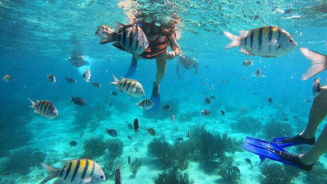 3 Hours VIP Semiprivate Tour Isla Mujeres Full Snorkeling Experience 