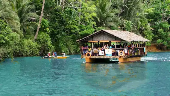 Bohol Island countryside 1-day tour: Chocolate Hills + Loboc River + tarsier + church + man-made forest