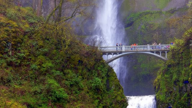 Columbia River Gorge Waterfalls Tour from Portland, OR