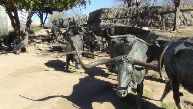 Dallas and Fort Worth City Sightseeing Tour Small-Group