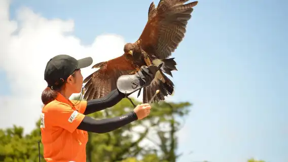 Okinawa FunPASS Churaumi Series: Churaumi Aquarium Admission Ticket, Free Choice of Attraction Experiences, Transportation and Shopping Discounts