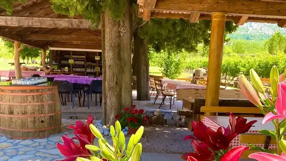 Half-Day Wine and Food Tasting from Dubrovnik