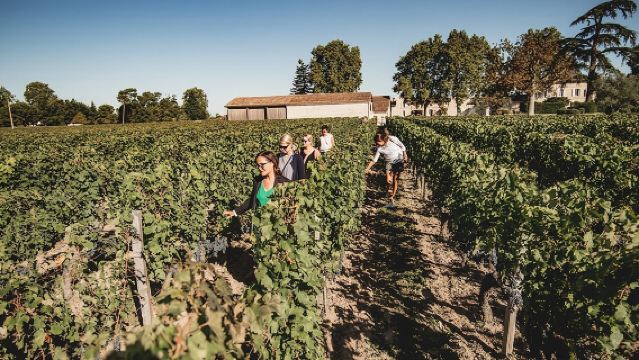 Excursión de un día de comida y vino en Saint-Émilion